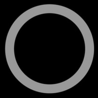 Rim Guard Type 1